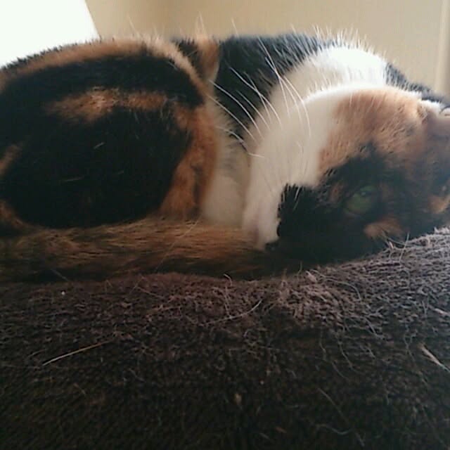 yuさんの実例写真