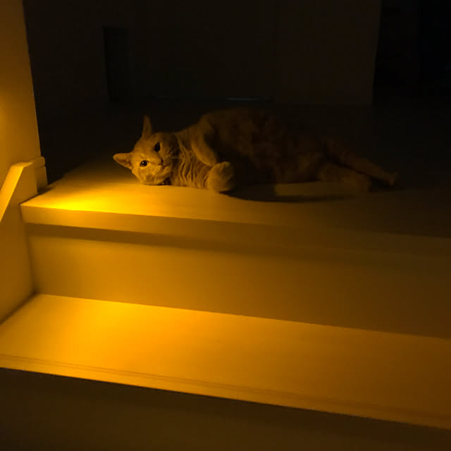 minakoさんの実例写真