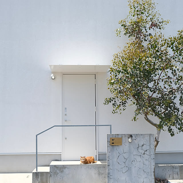 shiiiさんの実例写真