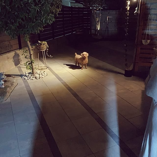 pochipochiさんの実例写真