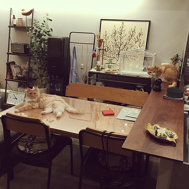 Ellenaさんの実例写真