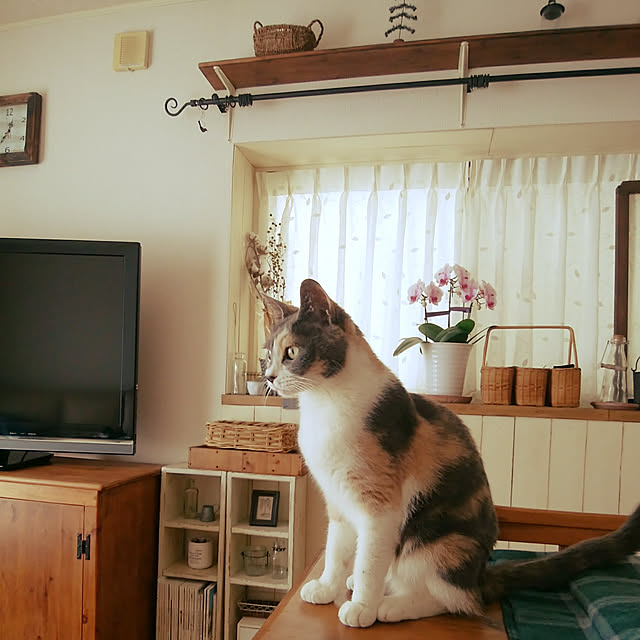 tomo1220さんの実例写真