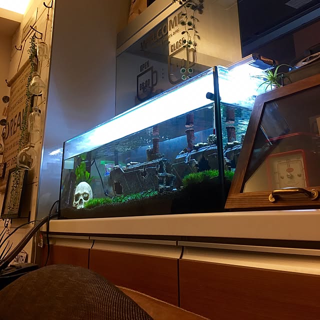 yokkochanさんの実例写真