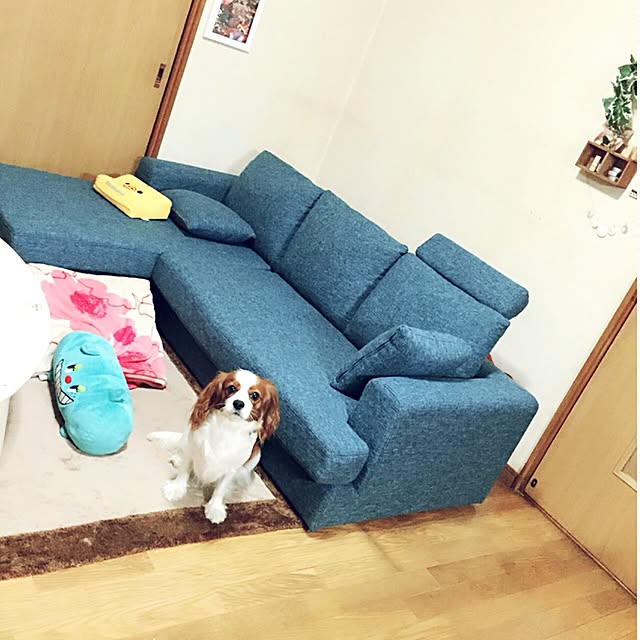 AYANOさんの実例写真