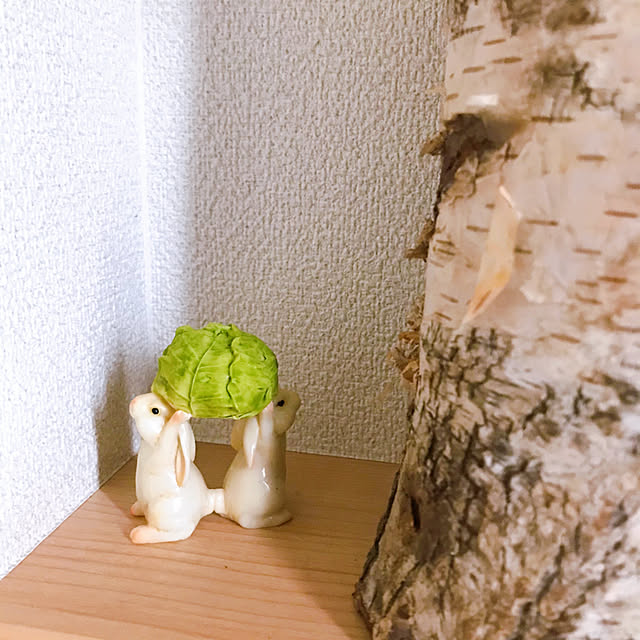 Mikaさんの実例写真