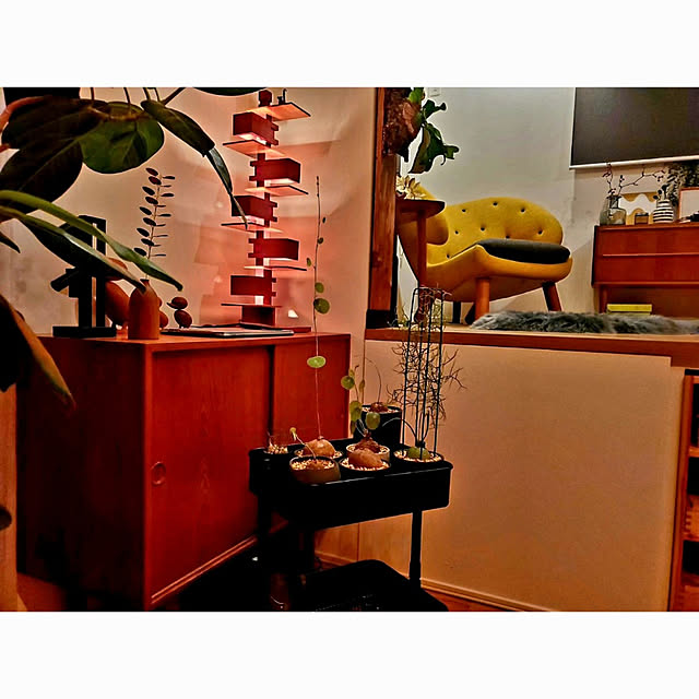 chandong777さんの実例写真