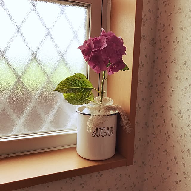 msfさんの実例写真