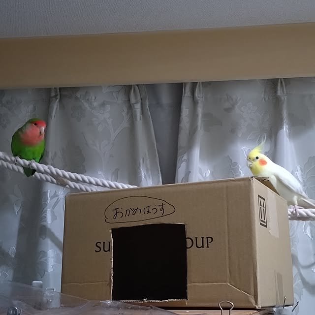 toratanさんの実例写真