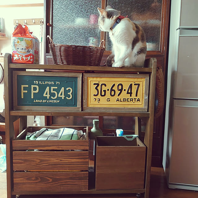 fukuさんの実例写真