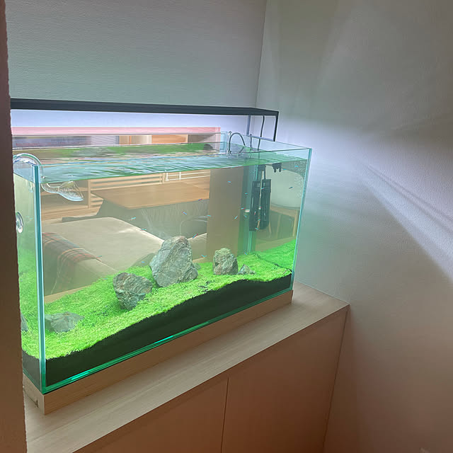 nicoさんの実例写真