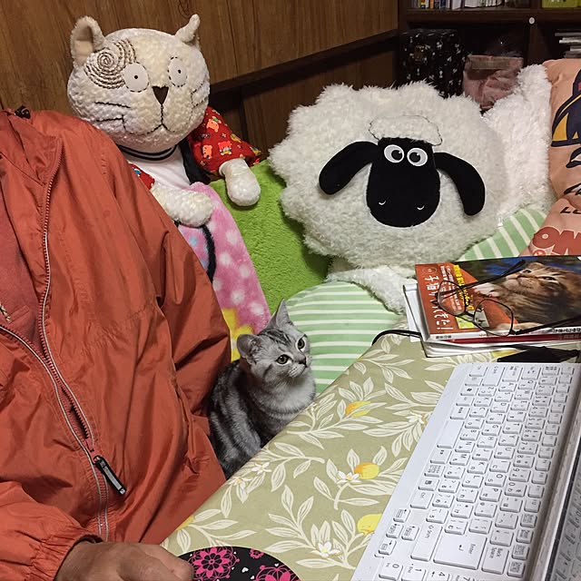 tanutanさんの実例写真