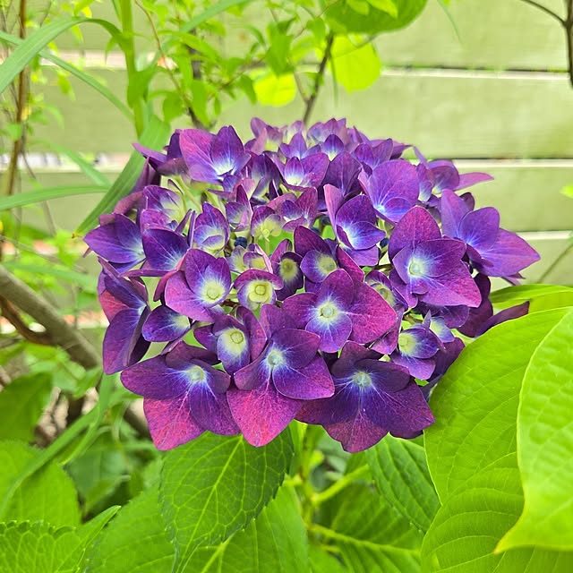 min_nimさんの実例写真