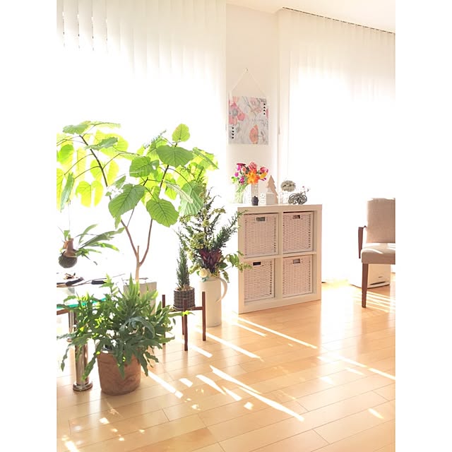 Saraさんの実例写真