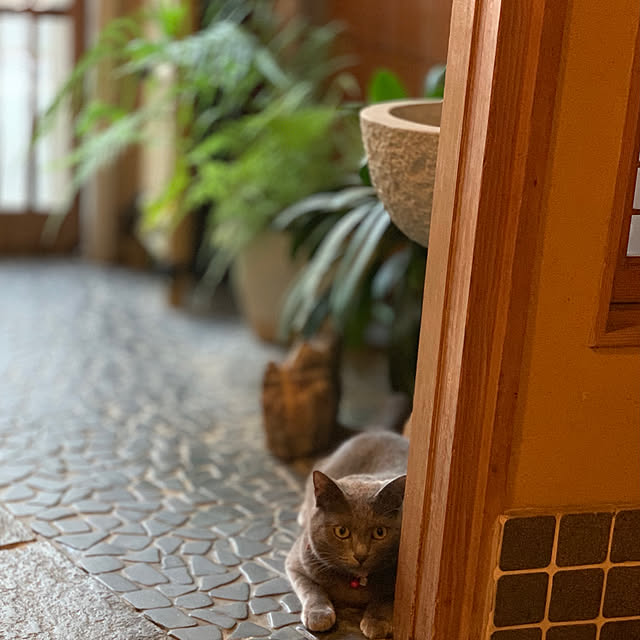 KAZさんの実例写真