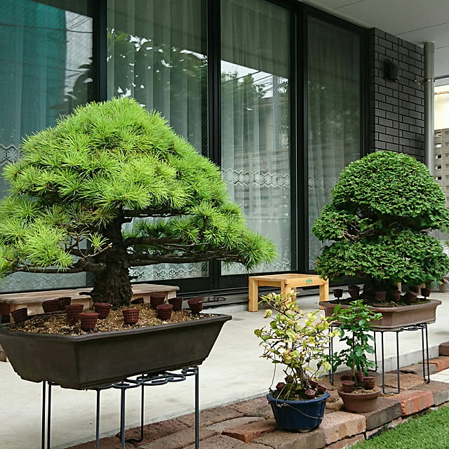 bonobono54さんの実例写真