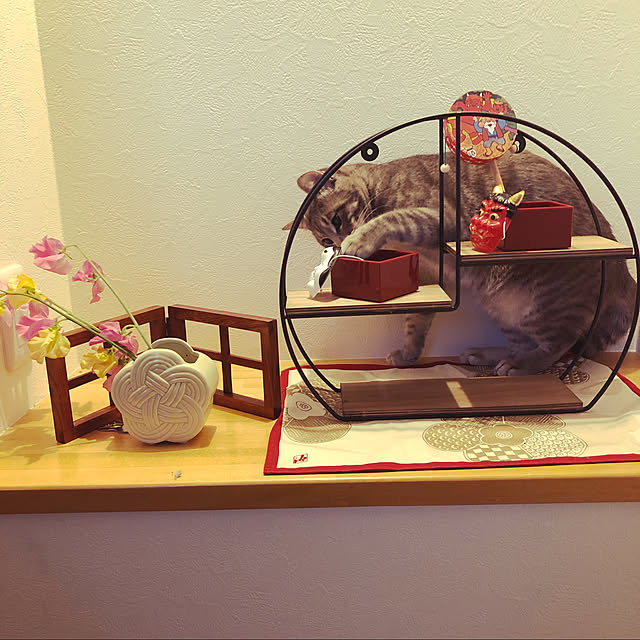 Pisaさんの実例写真