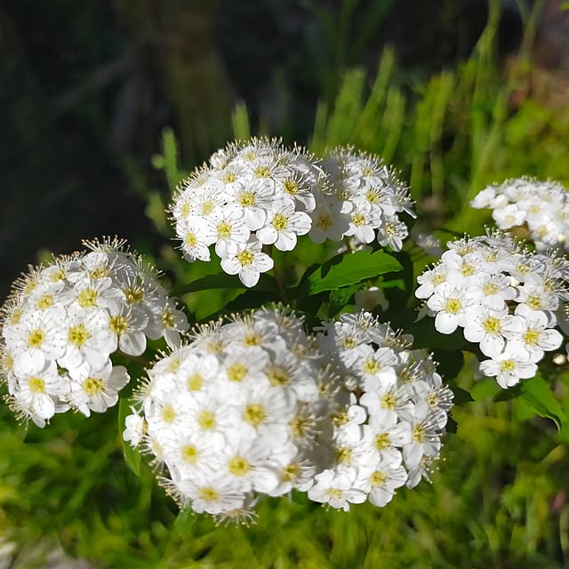 michiさんの部屋