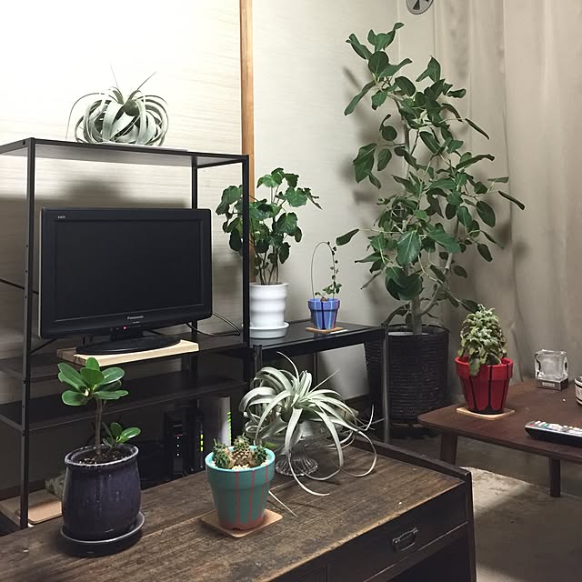 tadaさんの実例写真