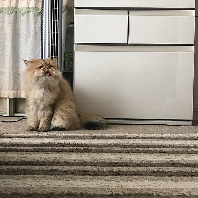 ichonさんの実例写真