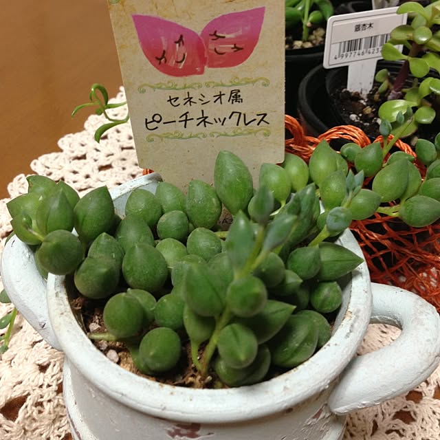 kyokoさんの実例写真