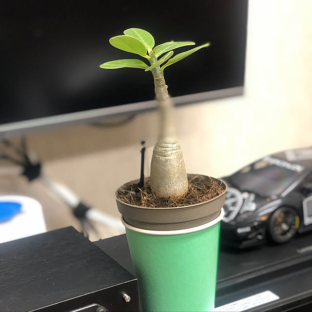 sakakenさんの実例写真
