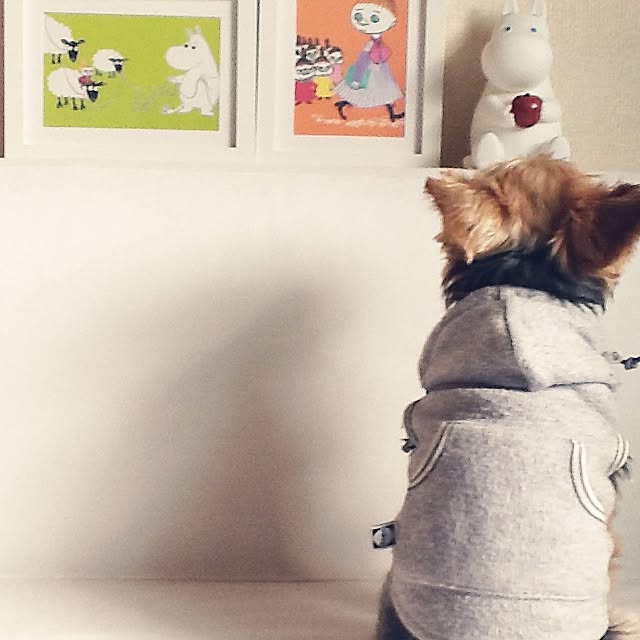 Mikaさんの実例写真