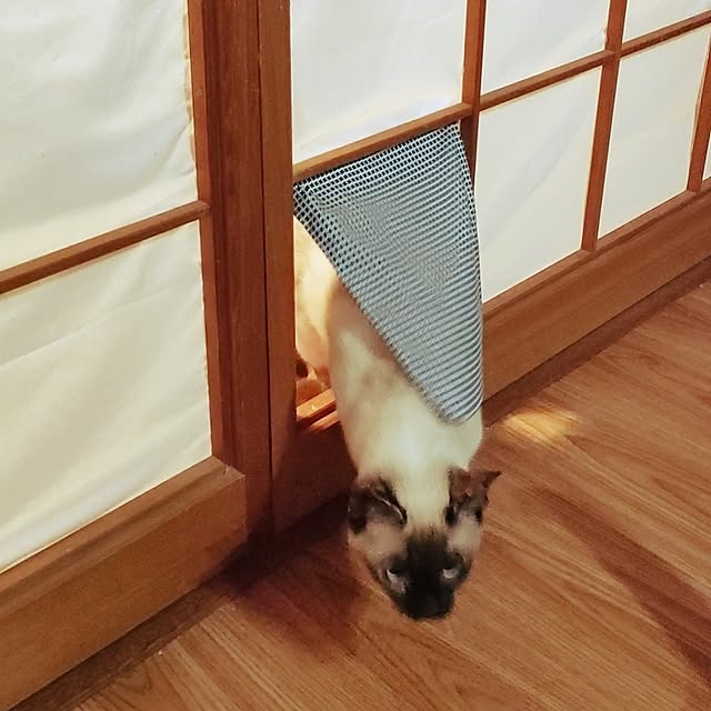 isikoro.DIYさんの部屋