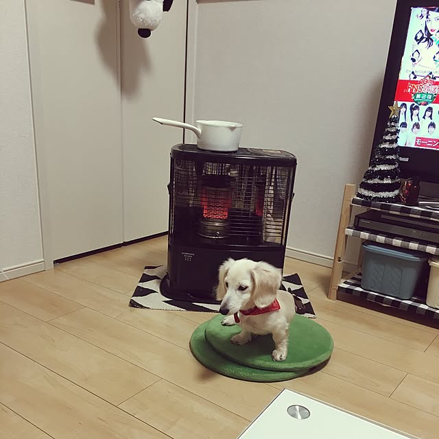 yu.813さんの実例写真
