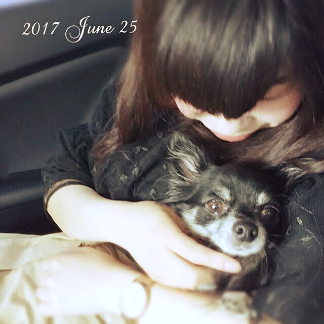mockさんの実例写真