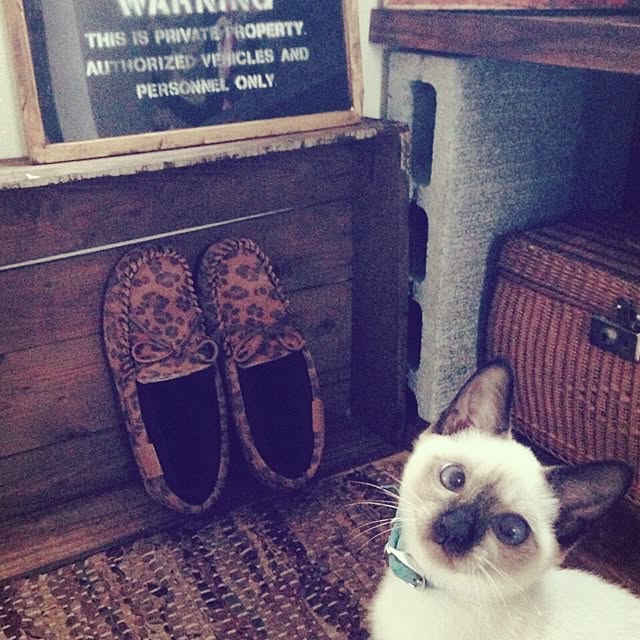 NAOさんの実例写真