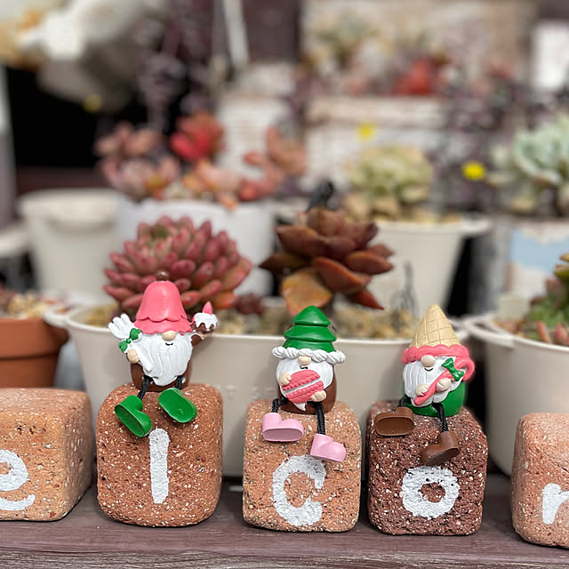 c.cさんの実例写真