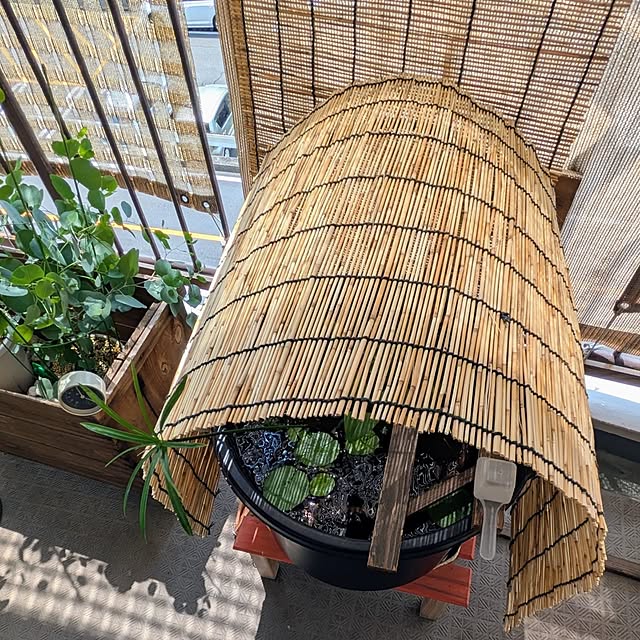 mi-saさんの部屋