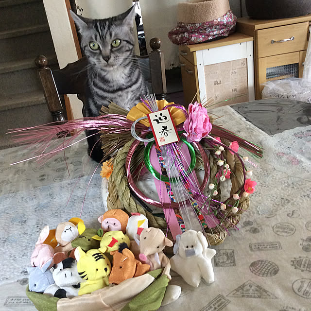 momokiriさんの実例写真