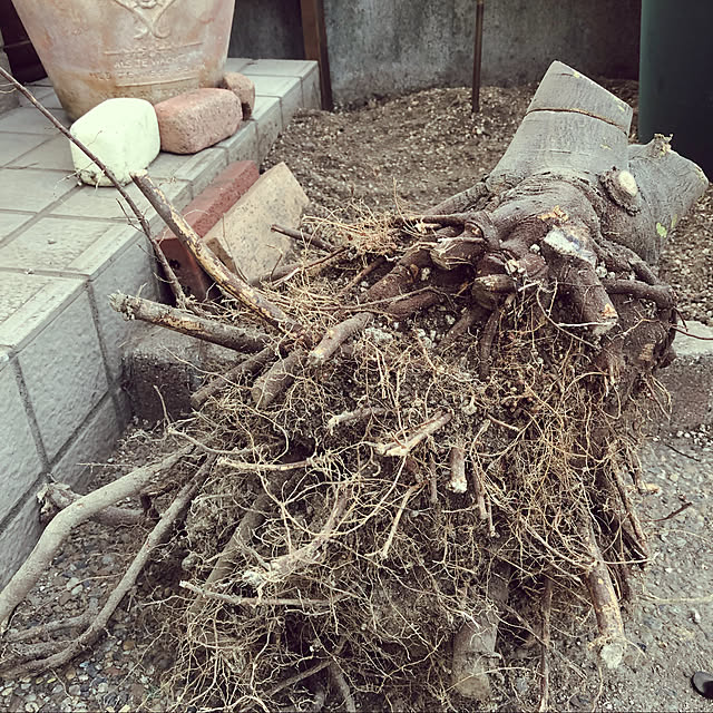 mkさんの実例写真