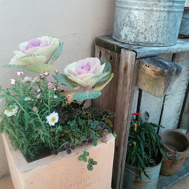 kokkomachaさんの実例写真