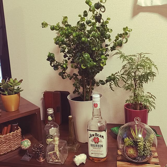 Yuichiさんの実例写真