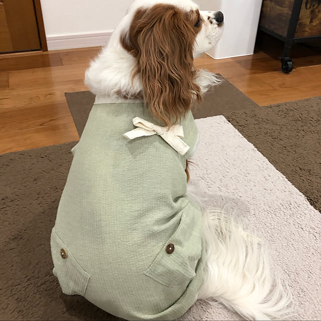 canmilmamaさんの実例写真