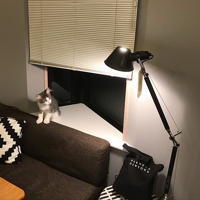 leoさんの実例写真