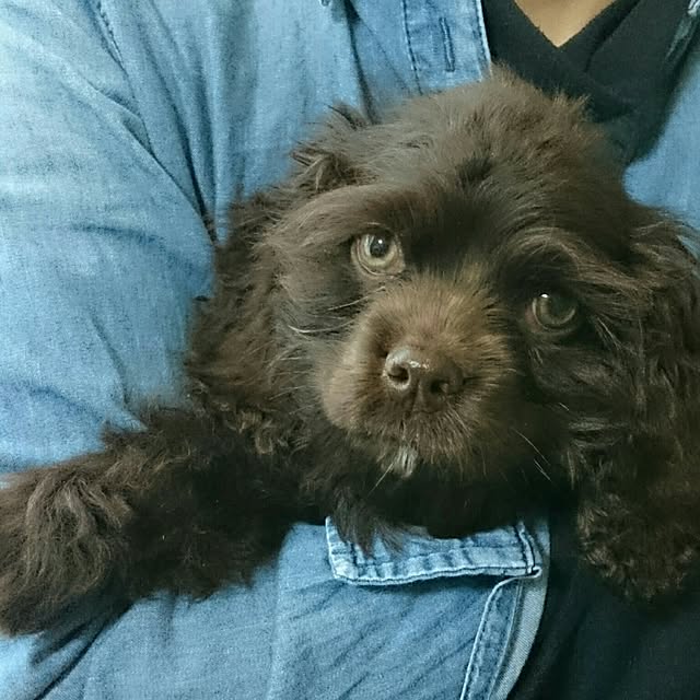 Saorinさんの実例写真