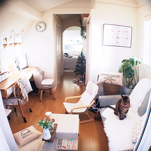 lovecatさんの実例写真