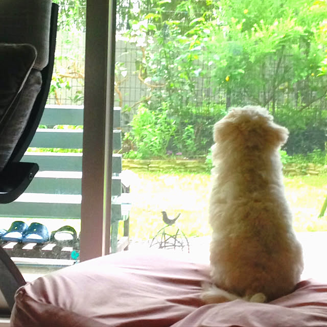 RAMUさんの実例写真