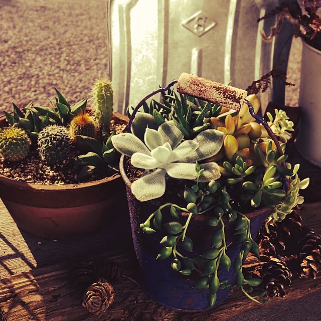 lafleurさんの実例写真