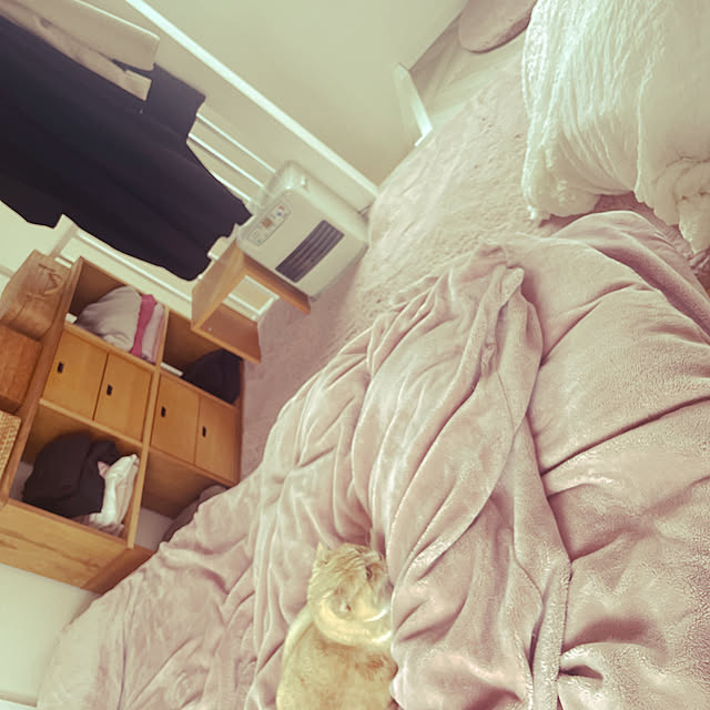 lippieさんの実例写真