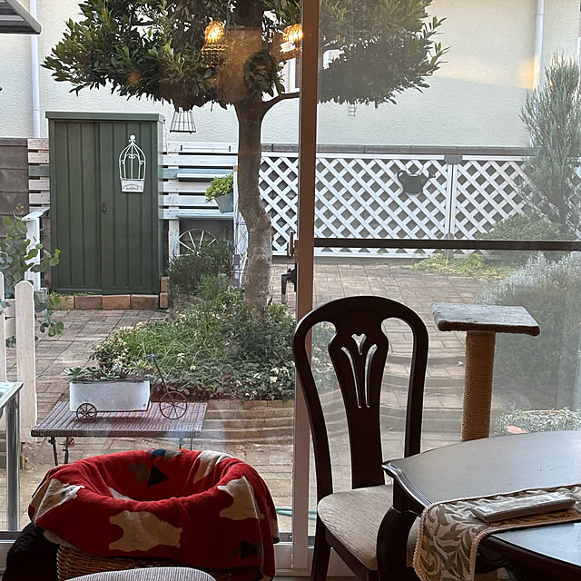 momocchiさんの部屋