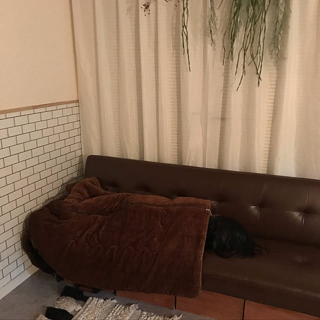 adgjmptwさんの実例写真