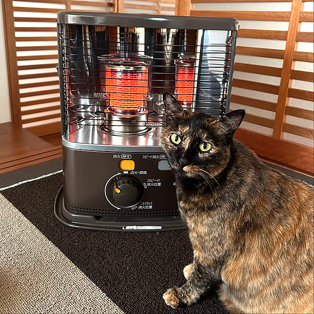 cocoさんの実例写真