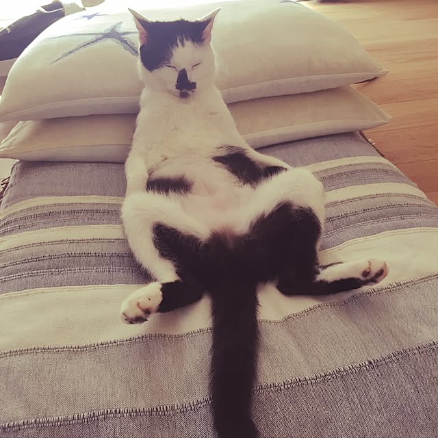 7himekoさんの実例写真