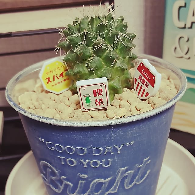 meiさんの実例写真