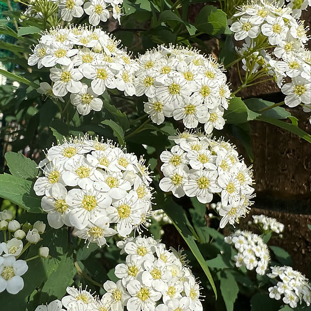 nannoさんの実例写真