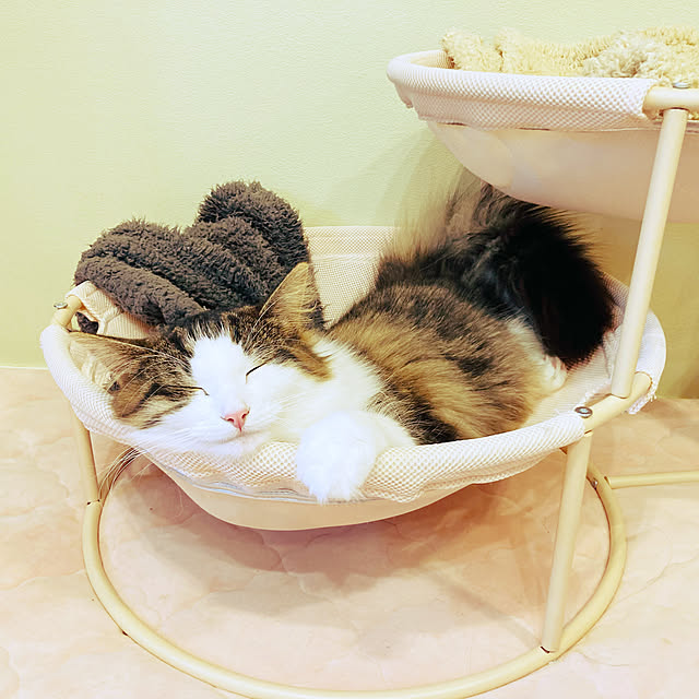 sakura_171220さんの実例写真